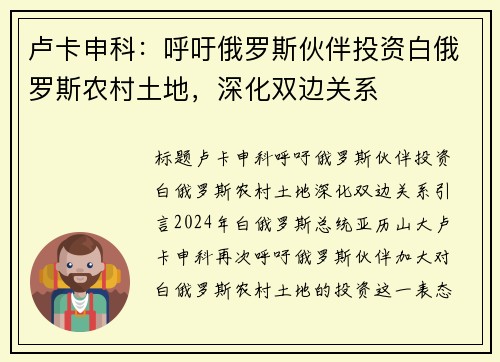 卢卡申科：呼吁俄罗斯伙伴投资白俄罗斯农村土地，深化双边关系