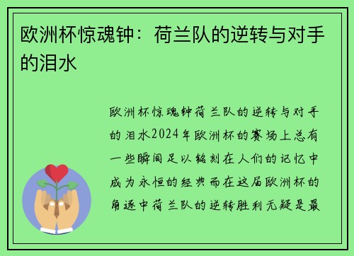 欧洲杯惊魂钟：荷兰队的逆转与对手的泪水